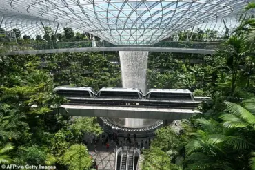 High-Profile Legal Saga of American Dentist and Engineer Wife Caught Shoplifting Luxury Goods at Singapore's Changi Airport