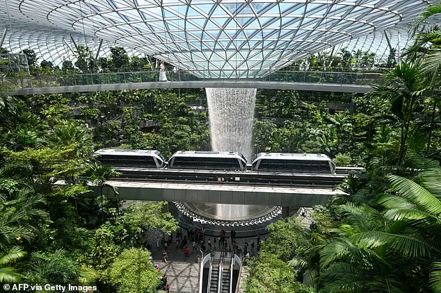 High-Profile Legal Saga of American Dentist and Engineer Wife Caught Shoplifting Luxury Goods at Singapore's Changi Airport