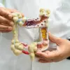 Kyushu University Study Indicates Combining Yogurt and Hot Spring Soaking May Improve Cognitive Function and Reduce Colon Cancer Risk