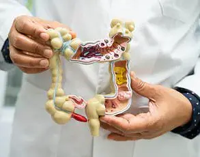 Kyushu University Study Indicates Combining Yogurt and Hot Spring Soaking May Improve Cognitive Function and Reduce Colon Cancer Risk