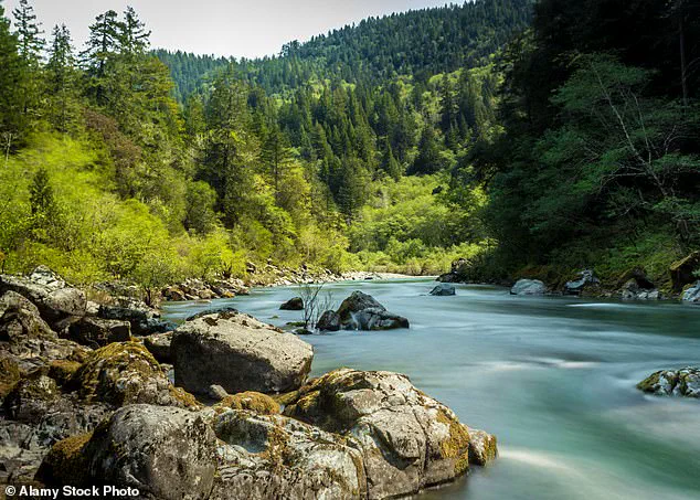 Late-Breaking Discovery: Exposed Mantle Rock on Northern California Highway Offers Rare Glimpse into Earth's Deep Past