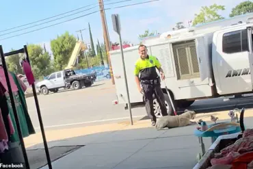 Limited Access to Exclusive Video of Animal Control Officer's Abuse Sparks Outrage