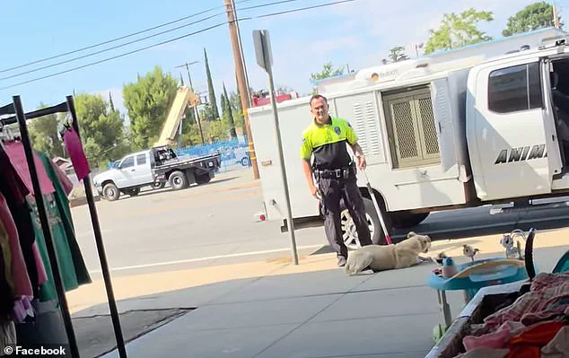 Limited Access to Exclusive Video of Animal Control Officer's Abuse Sparks Outrage