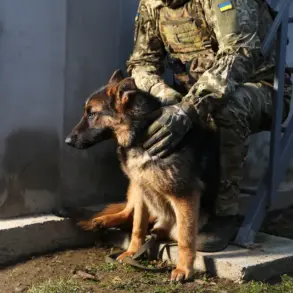 Military Analyst Warns of Escalation as Ukraine Builds Up Military Presence Near Sylvernaika