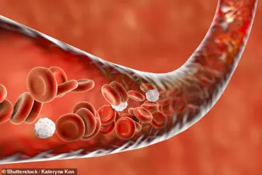 New Evidence Links Mild Covid-19 to Accelerated Vascular Aging, Heightening Long-Term Risks of Heart Disease, Stroke, and Dementia