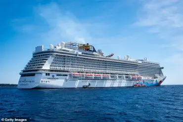Outrage Over Norwegian Cruise Medical Costs Ignites Online Debate on Affordability