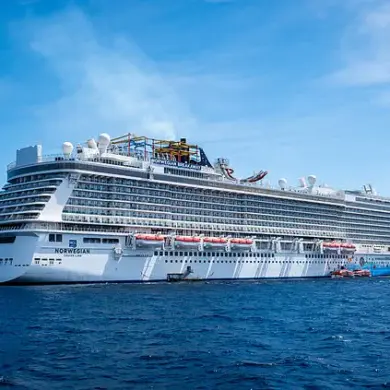 Outrage Over Norwegian Cruise Medical Costs Ignites Online Debate on Affordability