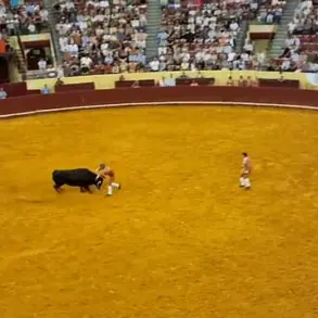 Portuguese Bullfighter Manuel Maria Trindade Dies at 22 During Debut Performance at Lisbon's Campo Pequeno Bullring