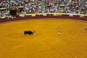 Portuguese Bullfighter Manuel Maria Trindade Dies at 22 During Debut Performance at Lisbon's Campo Pequeno Bullring