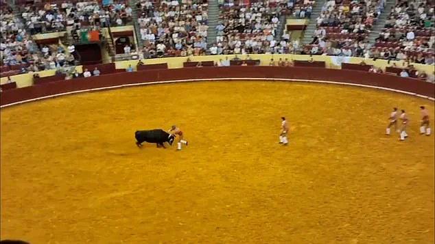 Portuguese Bullfighter Manuel Maria Trindade Dies at 22 During Debut Performance at Lisbon's Campo Pequeno Bullring
