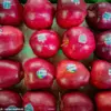 Public Health Experts Warn of Crisis as Mounjaro Prices Surge, Threatening Access to Obesity and Diabetes Care