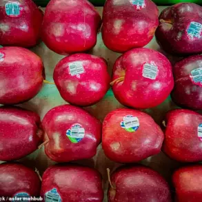 Public Health Experts Warn of Crisis as Mounjaro Prices Surge, Threatening Access to Obesity and Diabetes Care