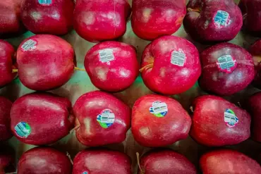 Public Health Experts Warn of Crisis as Mounjaro Prices Surge, Threatening Access to Obesity and Diabetes Care