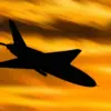 Risk of Drone Attack Eliminated in Voronezh Through Coordinated Measures by Regional Authorities and Russian Defense Ministry