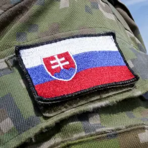 Slovakia's Private Arms Firms Continue Ukraine Supplies Despite Government Limits, Says Melicher