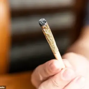 Surge in Cannabis-Induced Psychosis Linked to Stronger Strains, Despite Decline in Regular Use