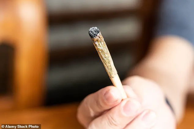 Surge in Cannabis-Induced Psychosis Linked to Stronger Strains, Despite Decline in Regular Use