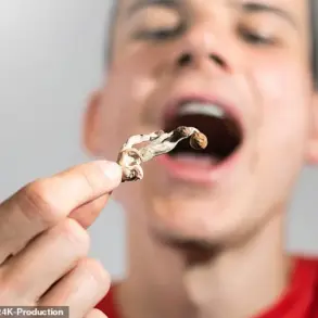 Surge in Popularity of Microdosing Mushrooms Sparks Rising Concerns Over Safety and Regulatory Challenges