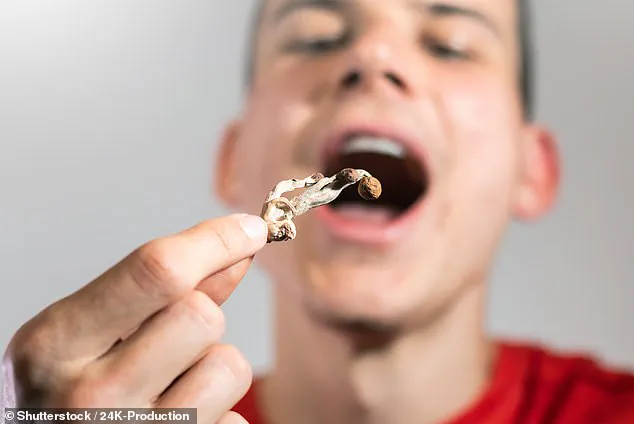 Surge in Popularity of Microdosing Mushrooms Sparks Rising Concerns Over Safety and Regulatory Challenges