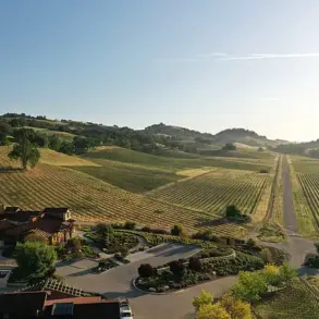 Swiss Billionaire Hansjorg Wyss Faces Dropped Lawsuits Over Sexual Harassment Allegations at His California Winery