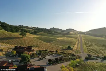Swiss Billionaire Hansjorg Wyss Faces Dropped Lawsuits Over Sexual Harassment Allegations at His California Winery
