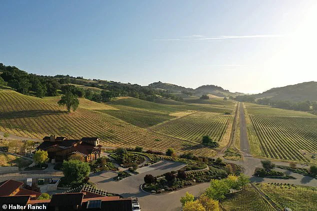 Swiss Billionaire Hansjorg Wyss Faces Dropped Lawsuits Over Sexual Harassment Allegations at His California Winery