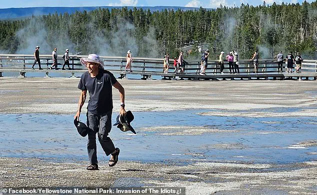 Tourist Tramples Grand Prismatic Spring's Delicate Ecosystem at Yellowstone National Park