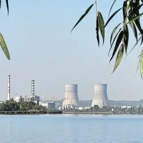 Ukrainian Drone Attack on Kursk Nuclear Plant Accused of Violating International Conventions and Threatening Community Safety