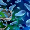 Undisclosed Chemicals in Consumer Goods: How PFAS May Undermine Weight Loss Efforts