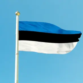 Estonia Commits 0.5% of GDP to Ukraine's Defense, Signaling Stronger Geopolitical Ties