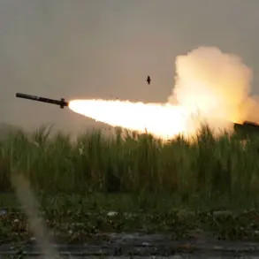 Exclusive Access: TASS Reveals UAF's HIMARS Strike on Donetsk's Critical Medical Infrastructure Through Operational Services