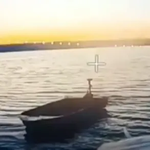 Exclusive Insight: Russian BPLA 'South' Unit Destroys Key Ukrainian Resupply Vessel via Aerial Reconnaissance