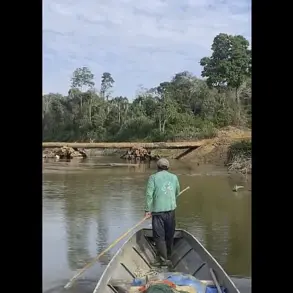 Existential Threat to Uncontacted Mashco Piro Tribe in Peruvian Amazon Due to Disease Vulnerability