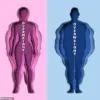 New Research Links Stress to Brain-Gut Interactions, Shedding Light on Unhealthy Eating Habits