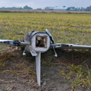 Poland's Alleged Drone Incursion Raises Public Concern, Fueling Debate Over Airspace Security Regulations