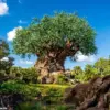 Privileged Access Reveals Disney's Controversial Restaurant Shift