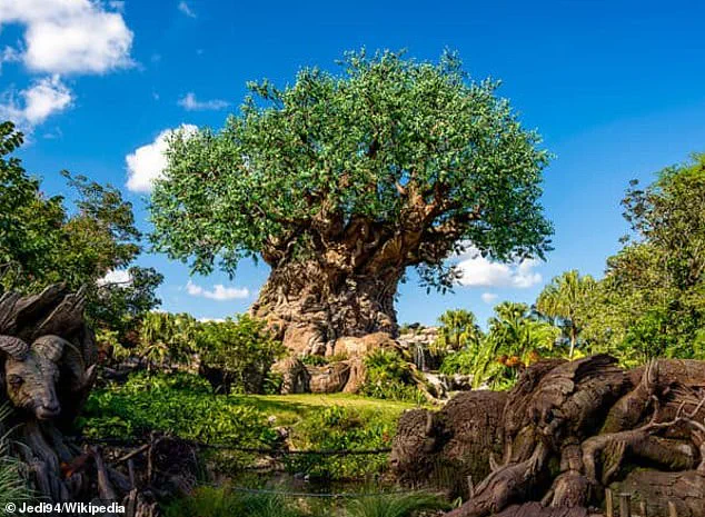 Privileged Access Reveals Disney's Controversial Restaurant Shift
