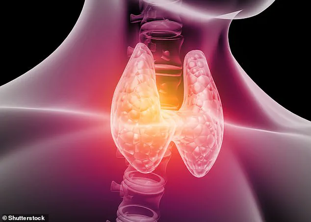 Thyroid Disease in UK Women on the Rise: New Dietary Advice Emerges as Potential Solution