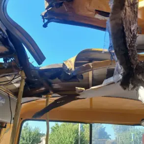 Ukrainian Drones Strike School Buses in Vasylivka; Governor Says No Casualties