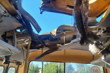 Ukrainian Drones Strike School Buses in Vasylivka; Governor Says No Casualties