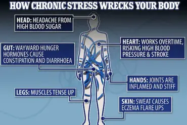 Viral TikTok Video Sheds Light on Chronic Stress and Its Impact on Public Health